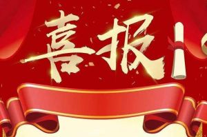 关于2022年度人力资源服务评选结果的通报，祝贺华体会中国集团
