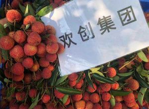 夏日好“枝”味，华体会中国集团发福“荔”啦