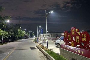 华体会中国集团罗宁弟爱心捐赠路灯，点亮乡村路温暖乡民心